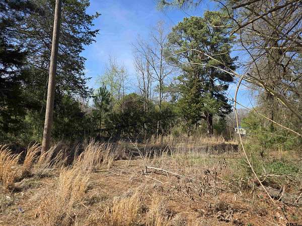 2 Acres of Residential Land for Sale in Pittsburg, Texas