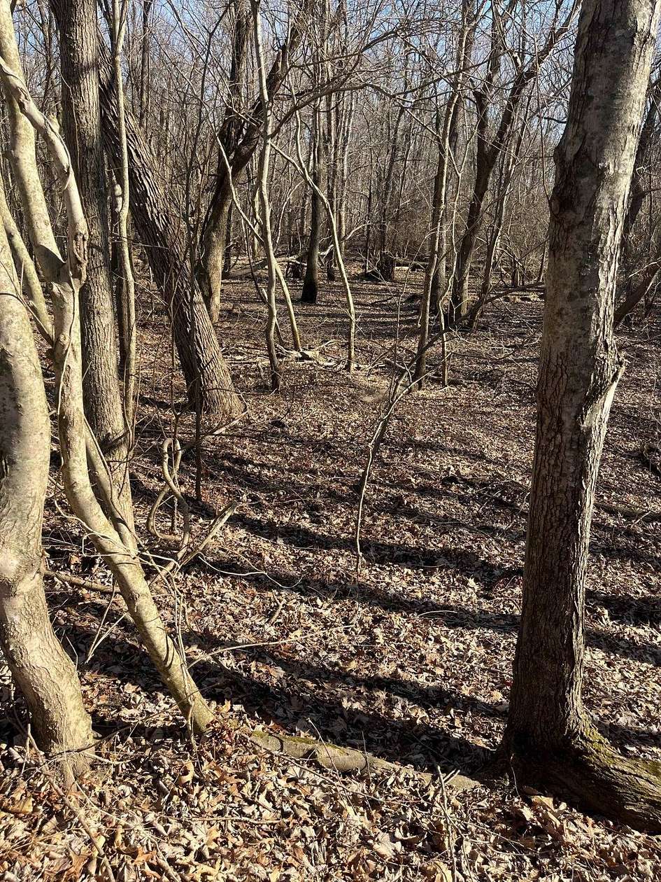 133 Acres of Land for Sale in Paragould, Arkansas