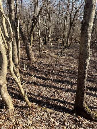 133 Acres of Land for Sale in Paragould, Arkansas
