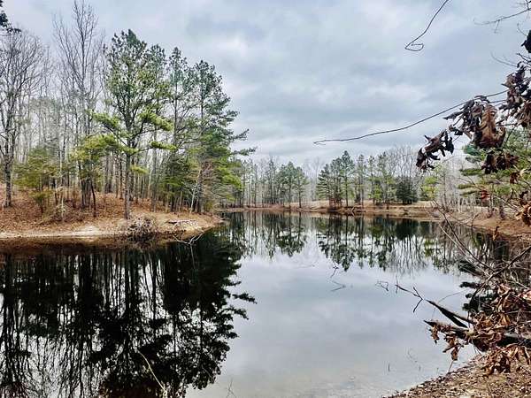 60.2 Acres of Recreational & Residential Land for Sale in Somerville, Tennessee