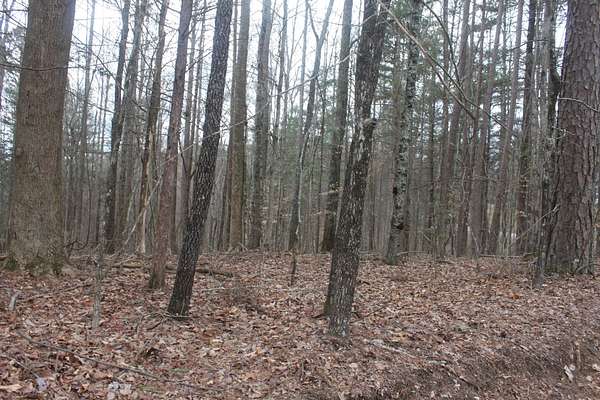 3.8 Acres of Residential Land for Sale in McMinnville, Tennessee