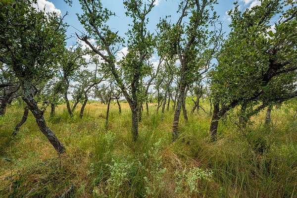 21 Acres of Recreational Land for Sale in Fort McKavett, Texas