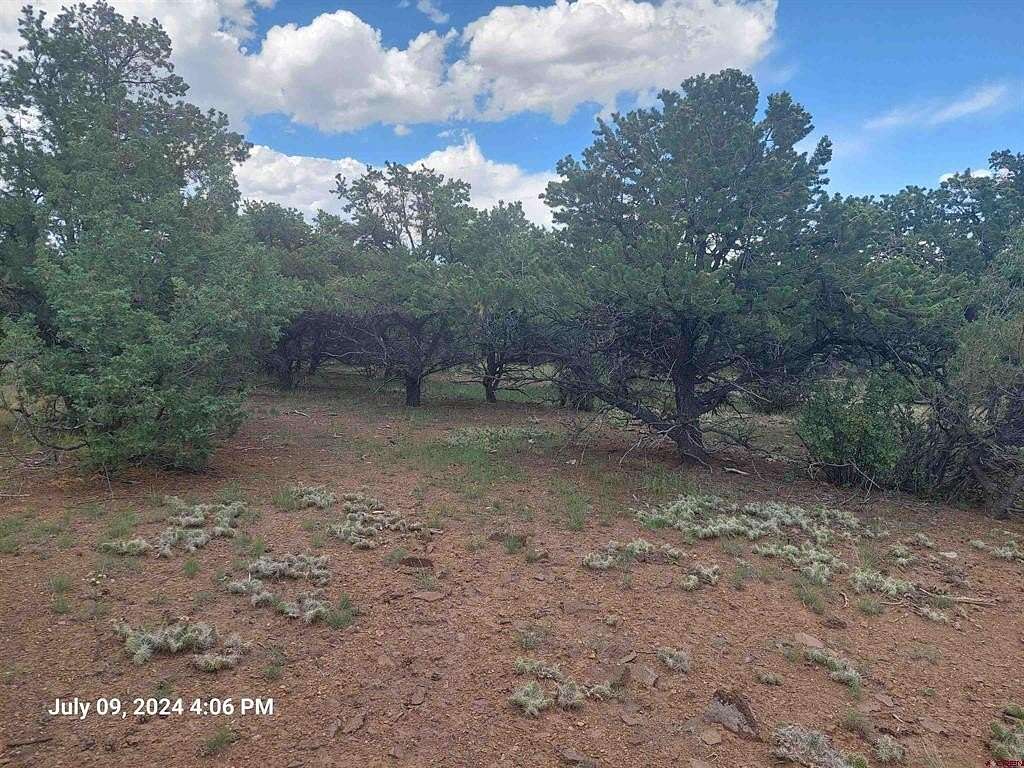 0.46 Acres of Residential Land for Sale in South Fork, Colorado