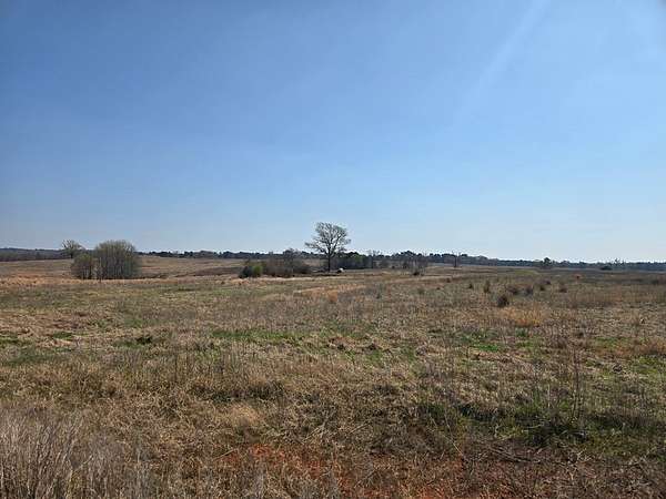 0.2 Acres of Residential Land for Sale in Crockett, Texas