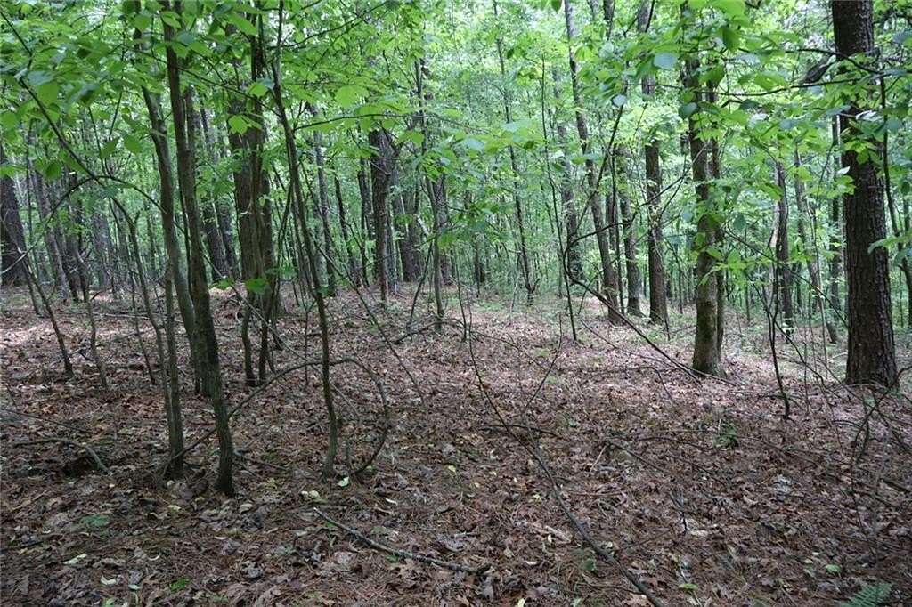 27.9 Acres of Recreational & Residential Land for Sale in Ellijay, Georgia