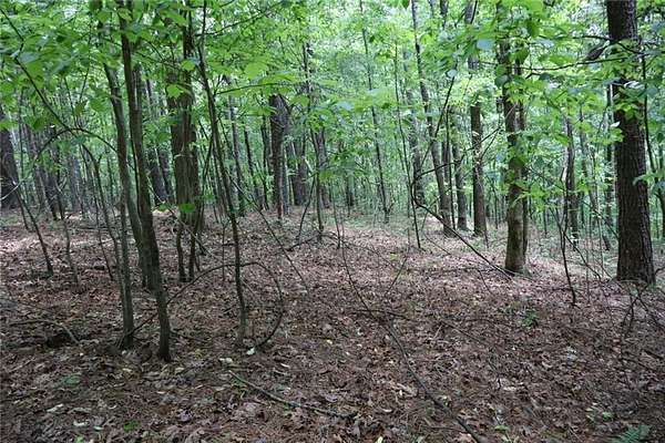 27.9 Acres of Recreational & Residential Land for Sale in Ellijay, Georgia