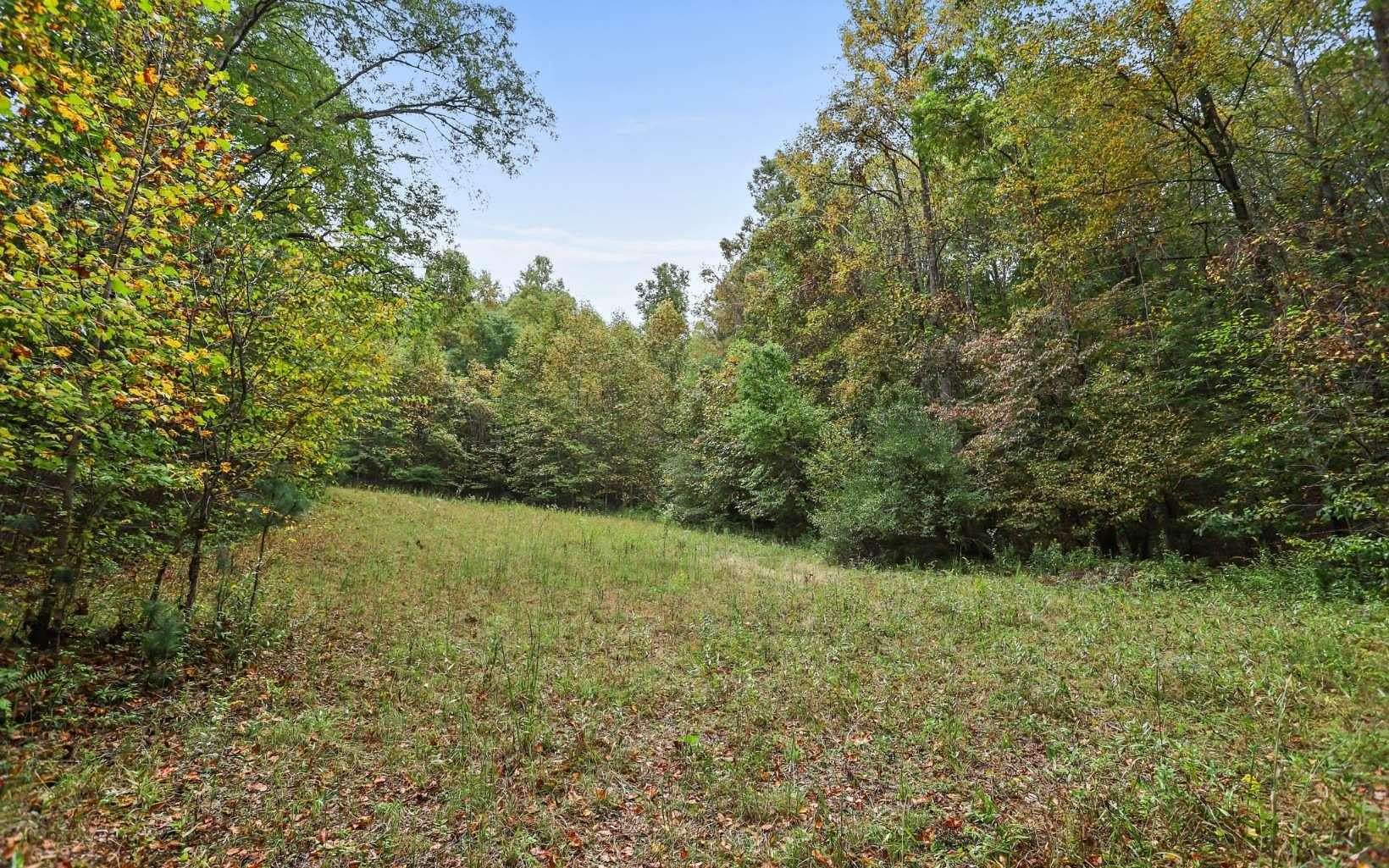 60.2 Acres of Land for Sale in Suches, Georgia
