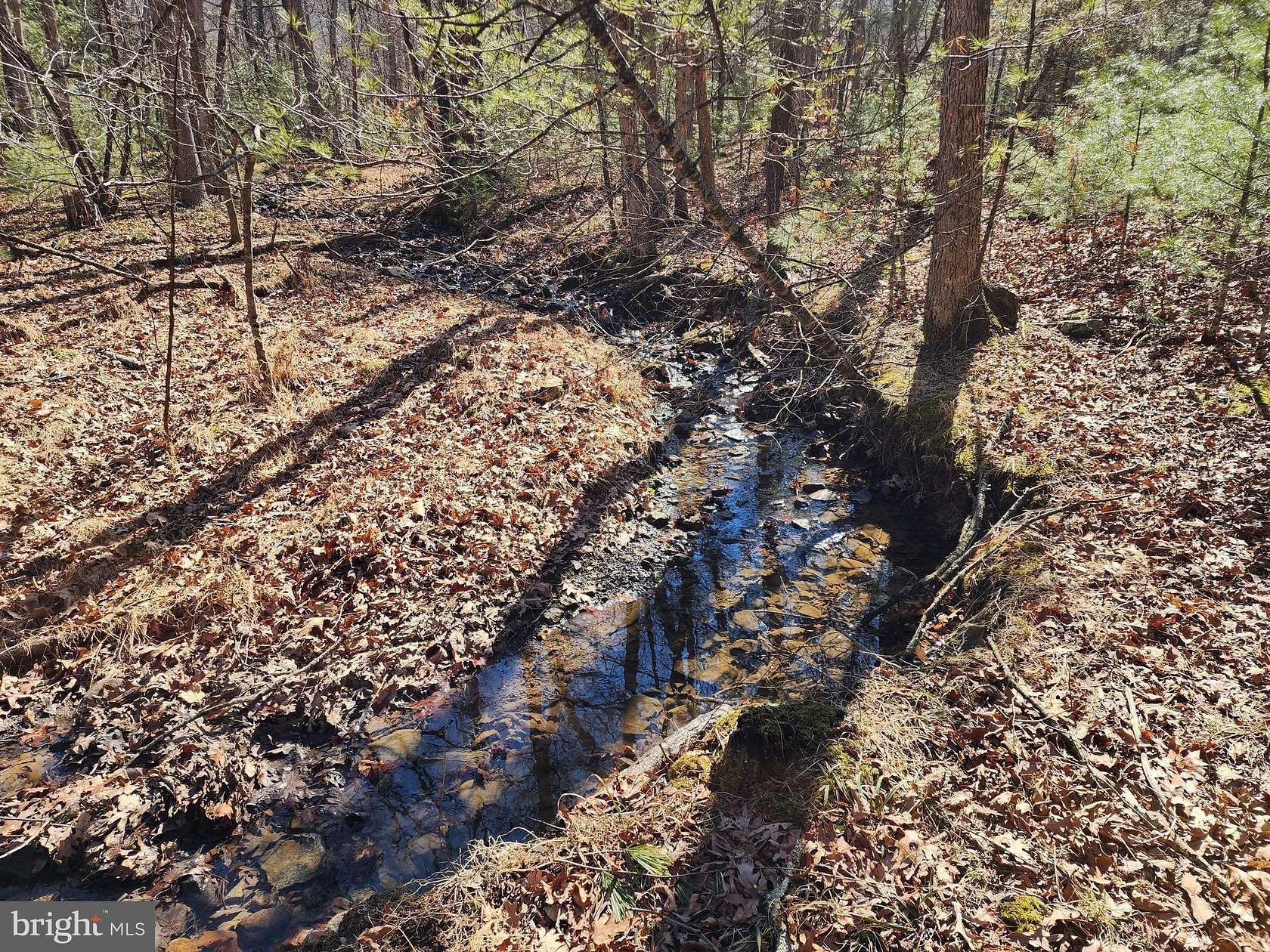 4 Acres of Land for Sale in Mathias, West Virginia