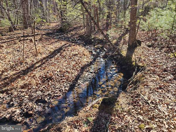 4 Acres of Land for Sale in Mathias, West Virginia