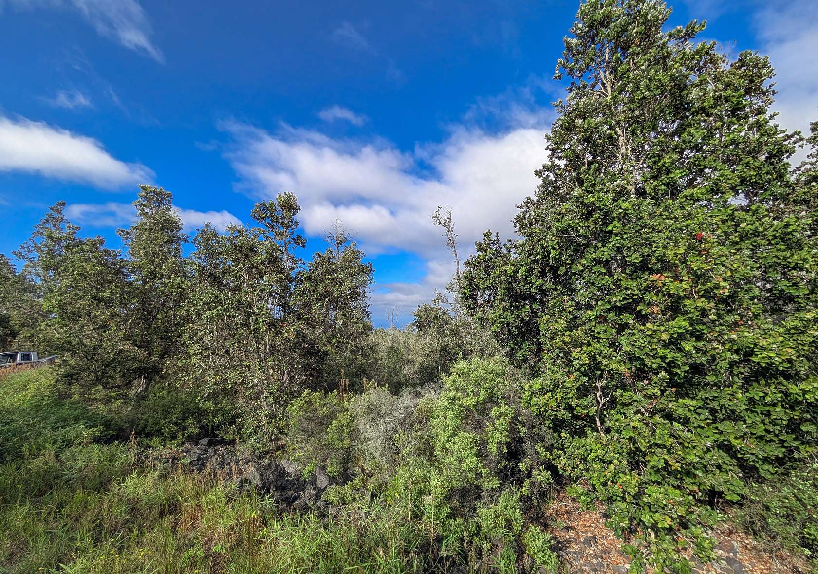 1 Acre of Land for Sale in Hawaiian Ocean View, Hawaii