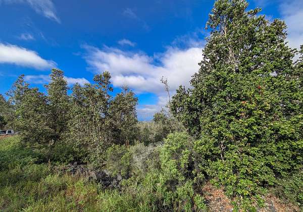 1 Acre of Land for Sale in Hawaiian Ocean View, Hawaii