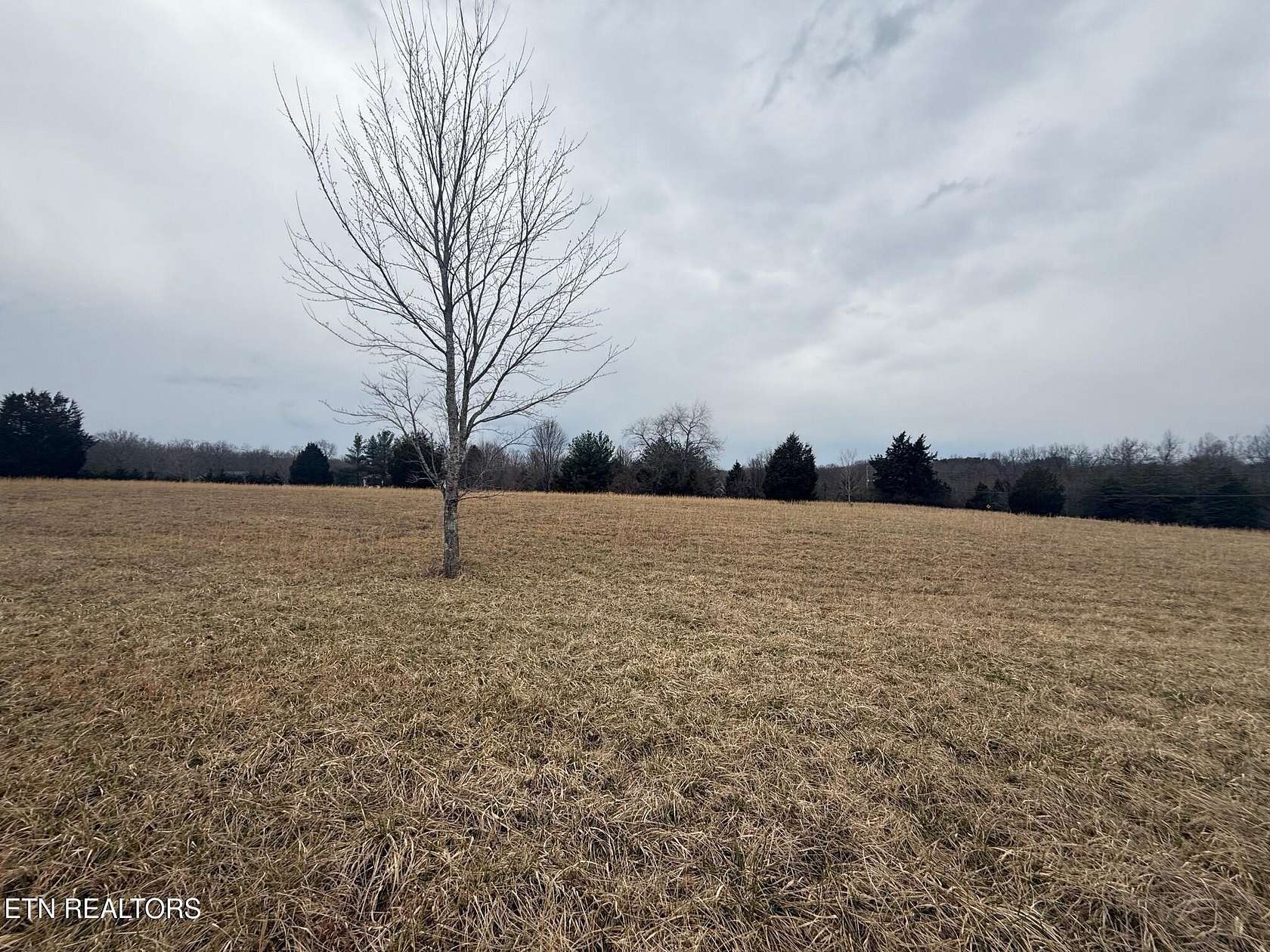 0.74 Acres of Residential Land for Sale in Crossville, Tennessee