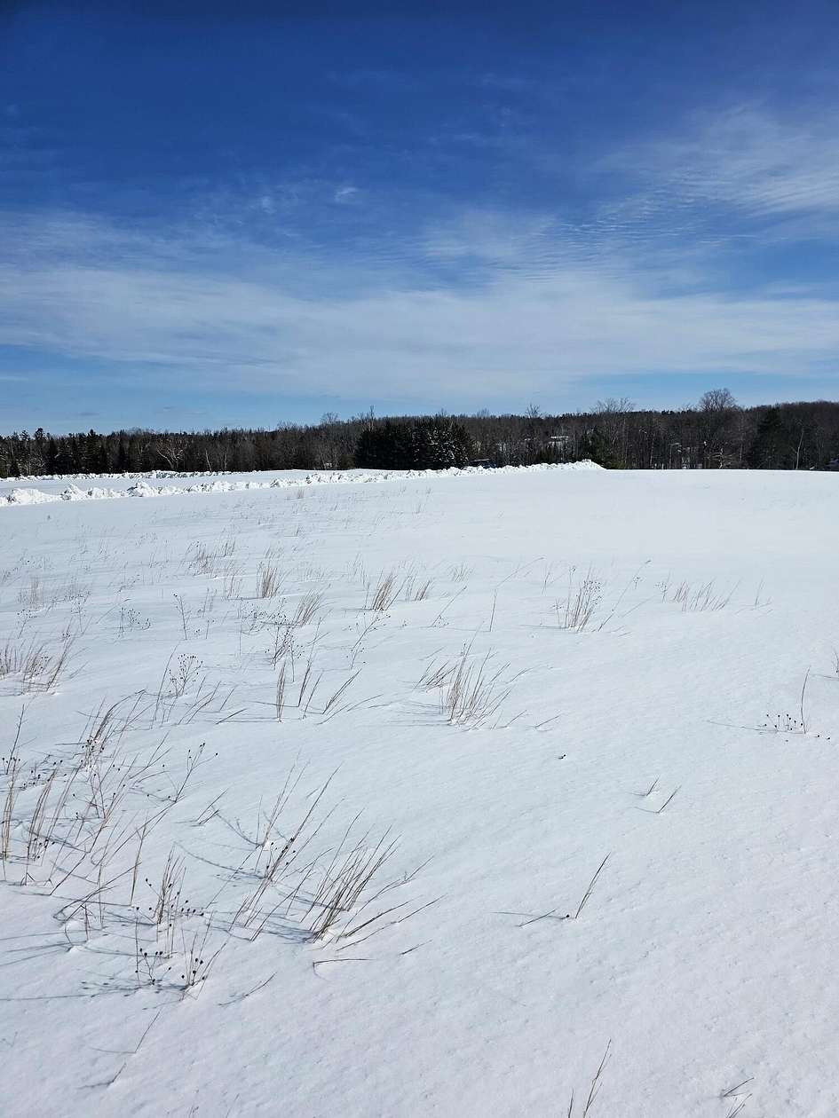 4 Acres of Residential Land for Sale in Onaway, Michigan