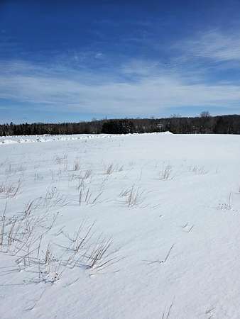 4 Acres of Residential Land for Sale in Onaway, Michigan