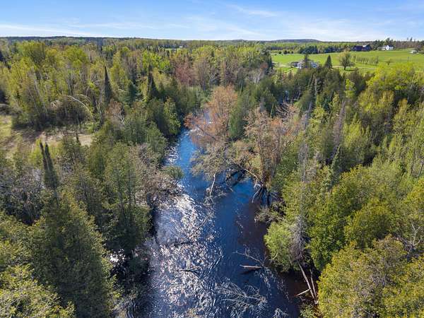4 Acres of Residential Land for Sale in Onaway, Michigan