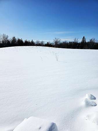 4 Acres of Residential Land for Sale in Onaway, Michigan