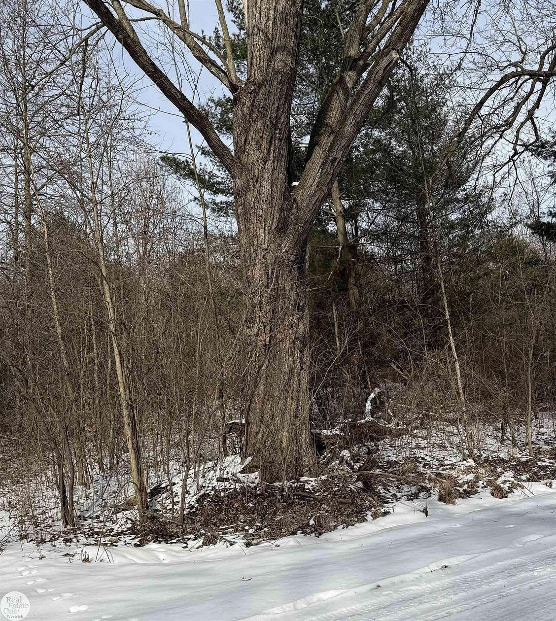 31.4 Acres of Recreational & Residential Land for Sale in Cottrellville Township, Michigan