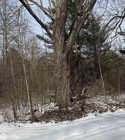 31.4 Acres of Recreational & Residential Land for Sale in Cottrellville Township, Michigan