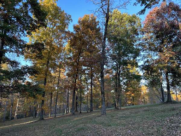 9.48 Acres of Residential Land for Sale in Primm Springs, Tennessee