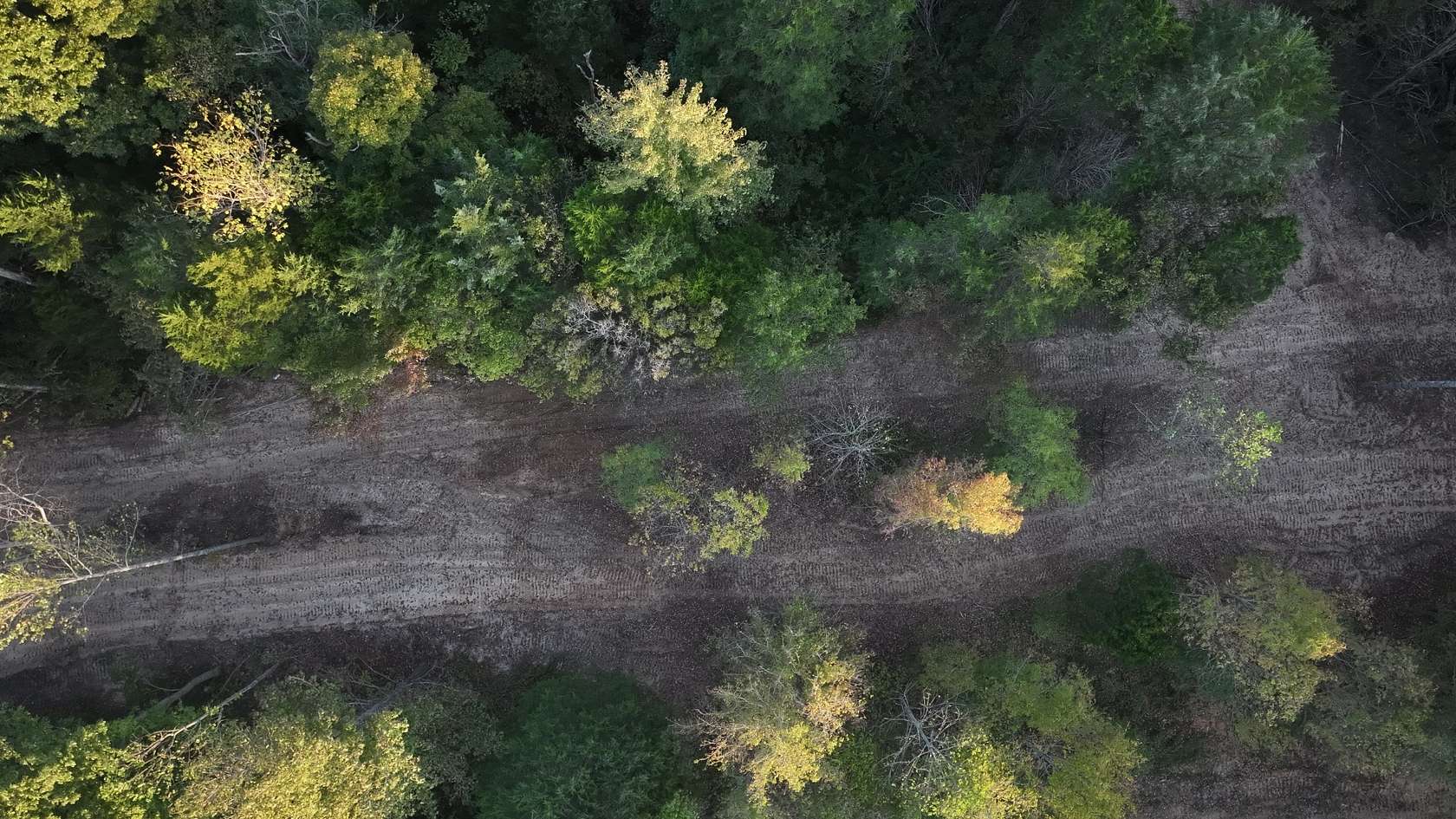 7 Acres of Residential Land for Sale in Palmyra, Tennessee