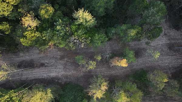 7 Acres of Residential Land for Sale in Palmyra, Tennessee