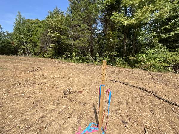 11.2 Acres of Recreational & Residential Land for Sale in Palmyra, Tennessee