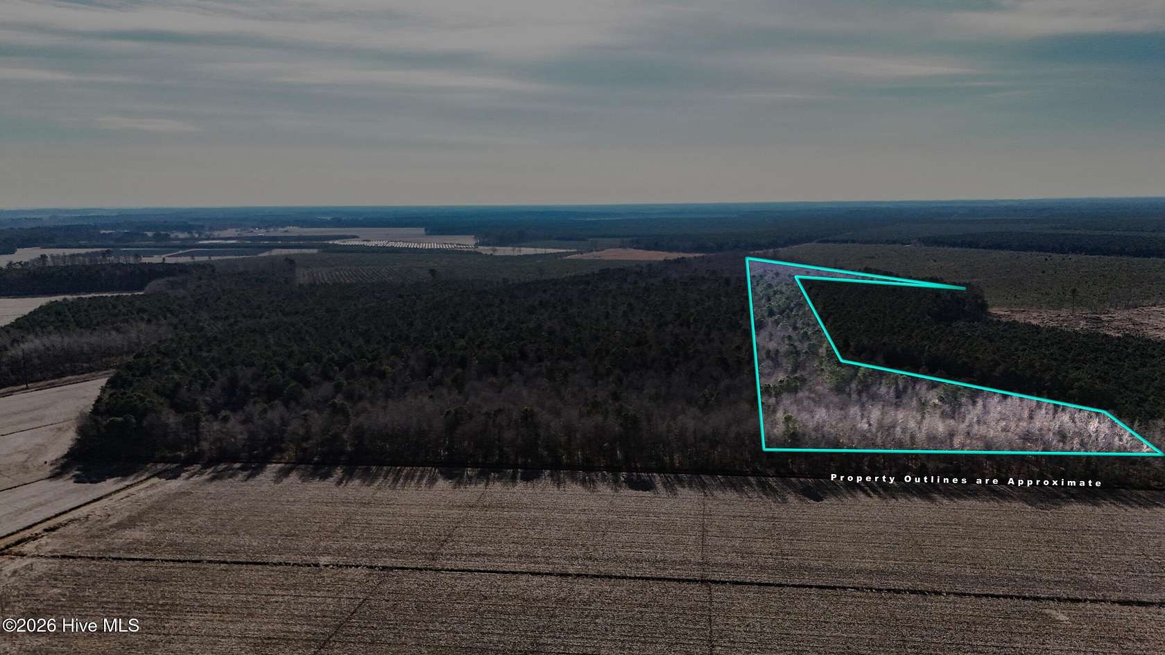 23 Acres of Recreational & Residential Land for Sale in Hertford, North Carolina