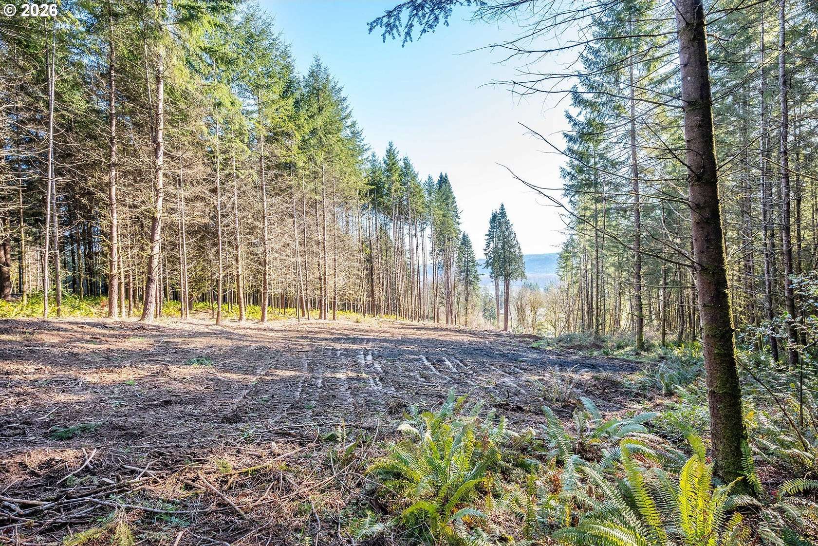 2 Acres of Residential Land for Sale in Longview, Washington
