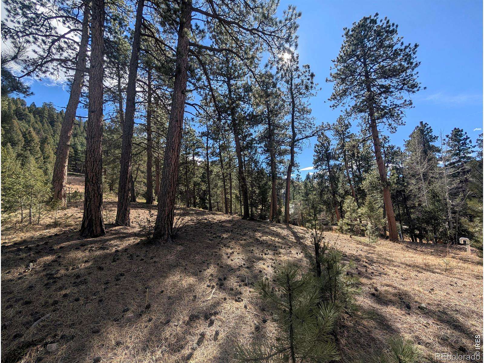 1.2 Acres of Residential Land for Sale in Evergreen, Colorado