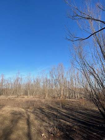 57.8 Acres of Recreational Land for Sale in Paragould, Arkansas