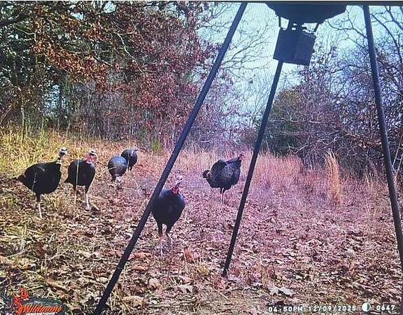 60 Acres of Land for Sale in Seminole, Oklahoma