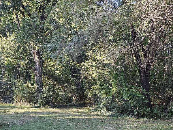 1.76 Acres of Residential Land for Sale in Goodman, Missouri