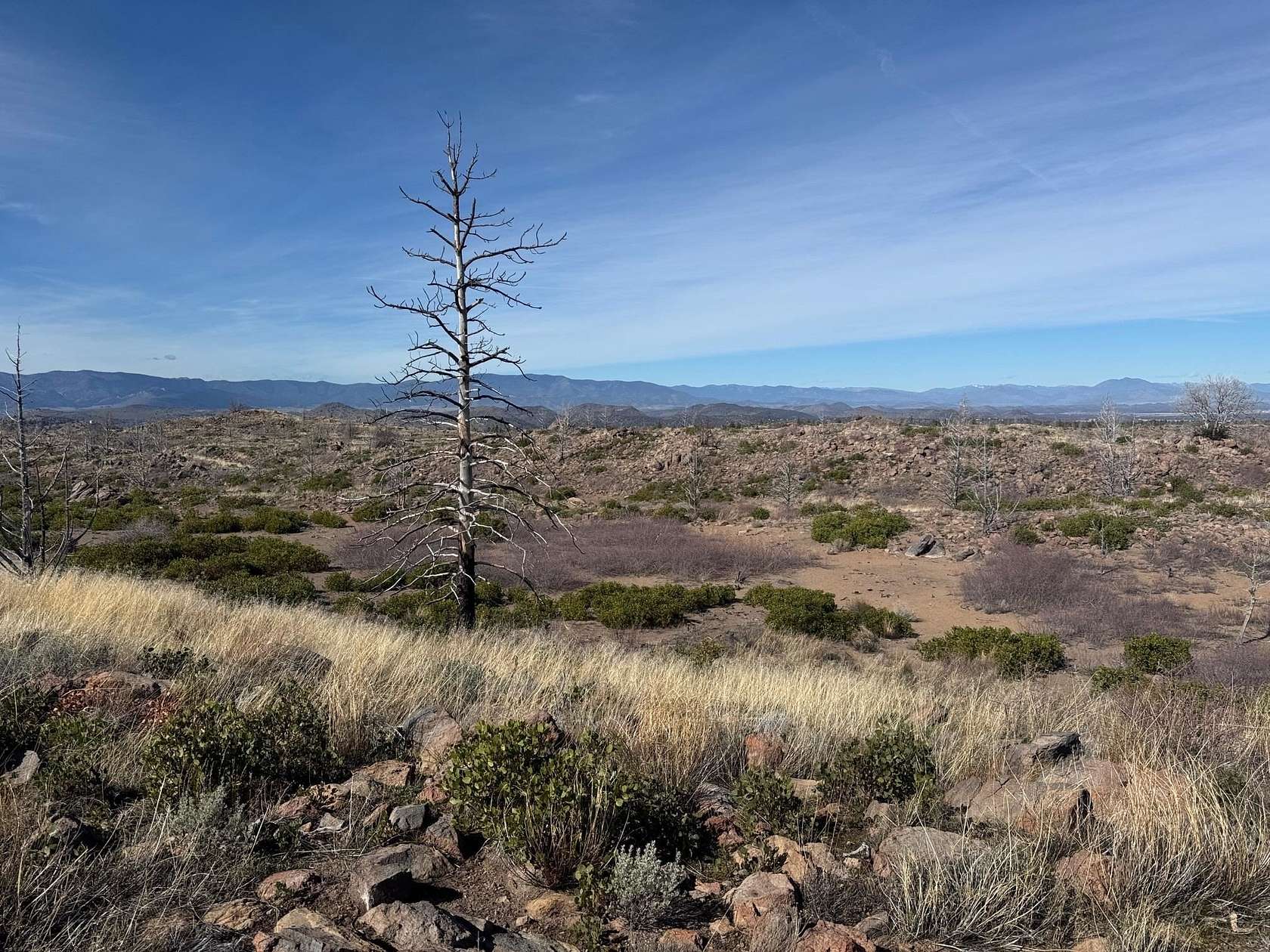 20.3 Acres of Recreational Land for Sale in Weed, California