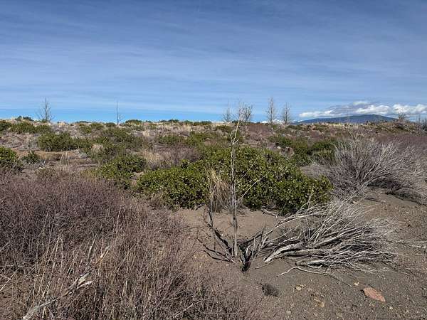 20.3 Acres of Land for Sale in Weed, California