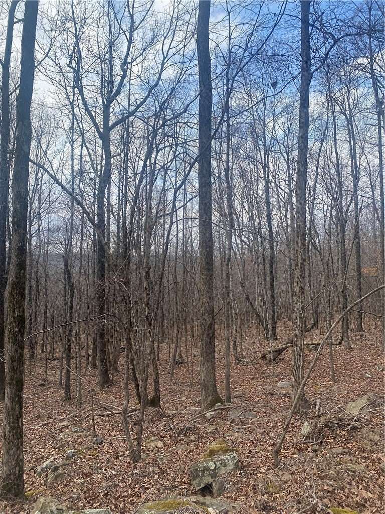 50 Acres of Recreational Land for Sale in Elkins, Arkansas