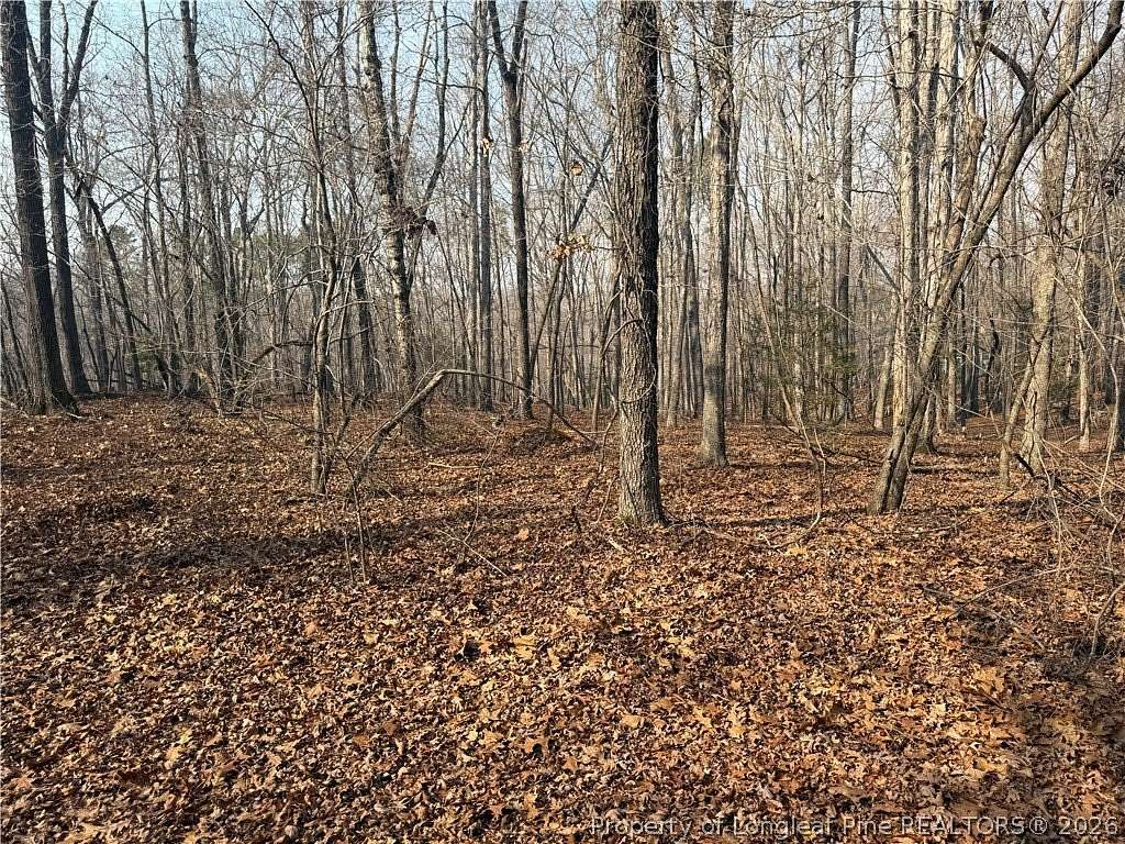 1.2 Acres of Residential Land for Sale in Carthage, North Carolina