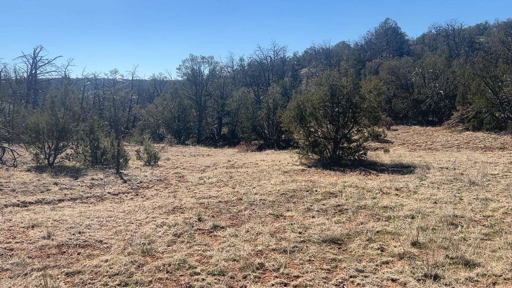 2 Acres of Land for Sale in Sandia Park, New Mexico