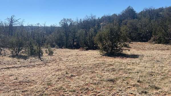 2 Acres of Land for Sale in Sandia Park, New Mexico