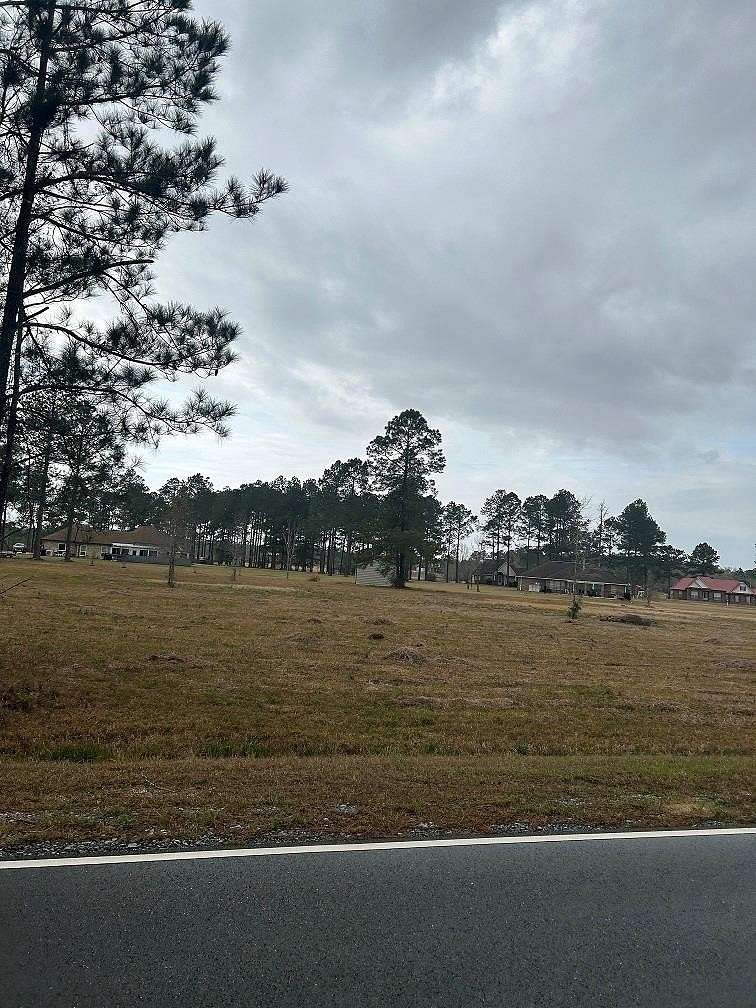 1 Acre of Residential Land for Sale in Carriere, Mississippi