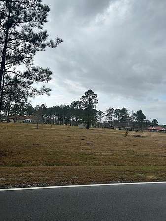 1 Acre of Residential Land for Sale in Carriere, Mississippi