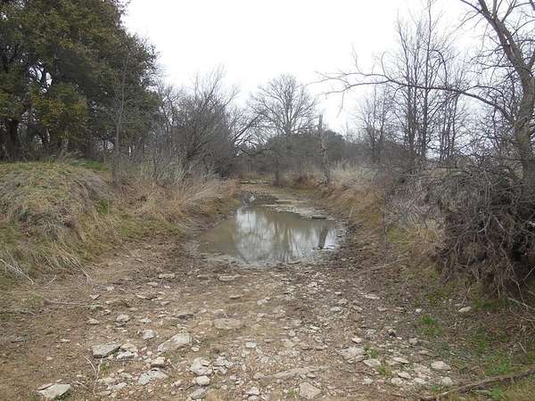 48.1 Acres of Agricultural Land for Sale in Ranger, Texas