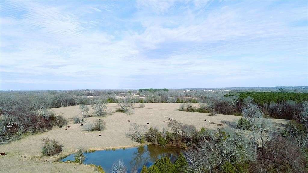 100 Acres of Agricultural Land for Sale in Grand Saline, Texas