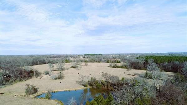 100 Acres of Agricultural Land for Sale in Grand Saline, Texas