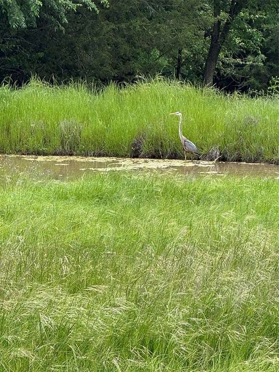 12 Acres of Land for Sale in Decatur, Texas