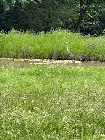 12 Acres of Land for Sale in Decatur, Texas