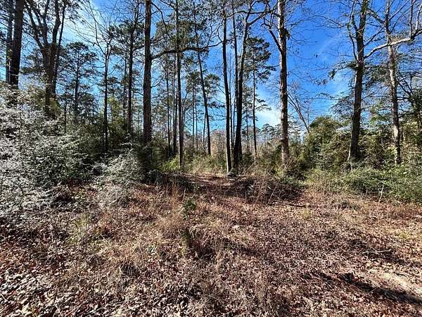 0.31 Acres of Residential Land for Sale in Woodville, Texas
