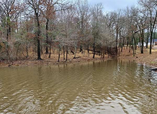 0.52 Acres of Residential Land for Sale in Alba, Texas
