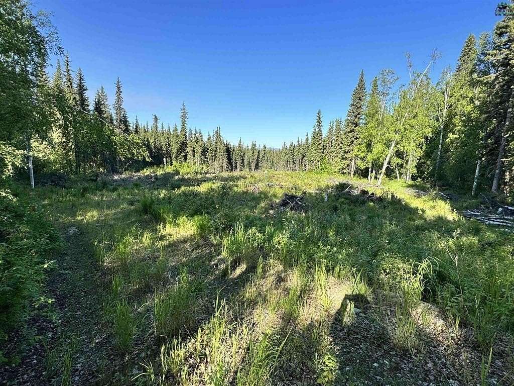 3 Acres of Land for Sale in Fairbanks, Alaska