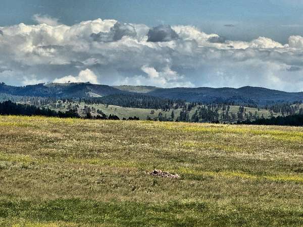 159 Acres of Land for Sale in Custer, South Dakota