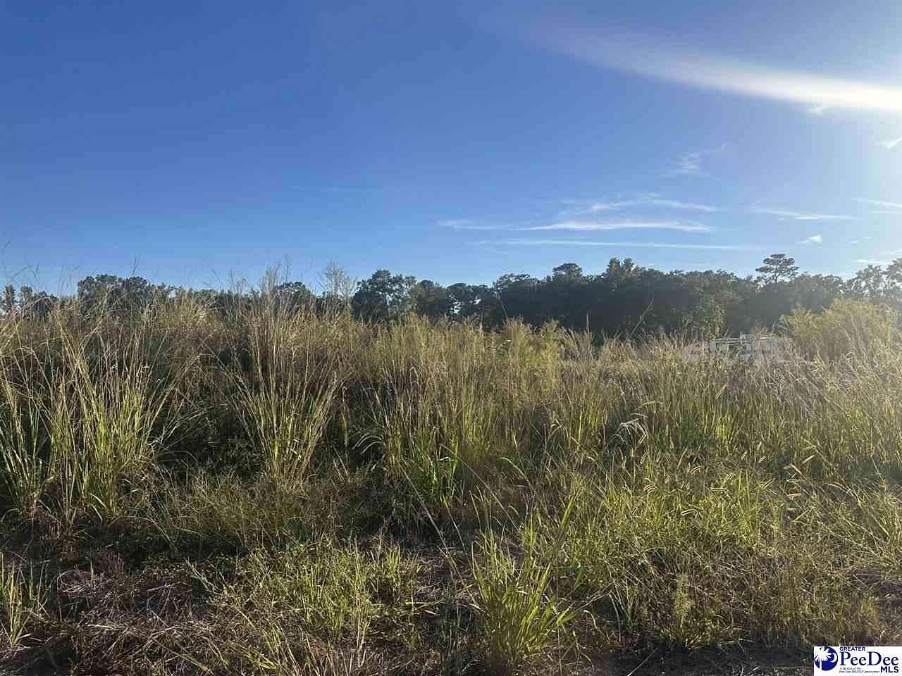 0.69 Acres of Residential Land for Sale in Florence, South Carolina